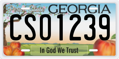 GA license plate CSO1239