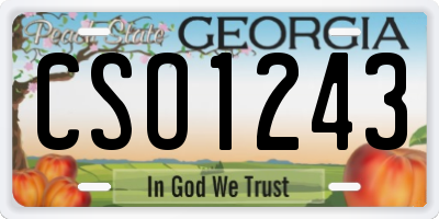 GA license plate CSO1243