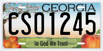 GA license plate CSO1245