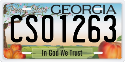 GA license plate CSO1263