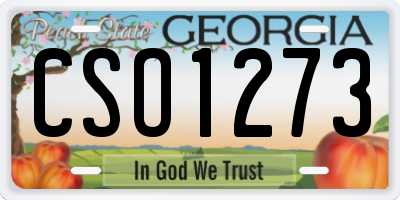 GA license plate CSO1273