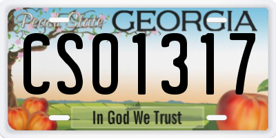 GA license plate CSO1317