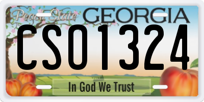 GA license plate CSO1324
