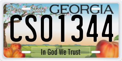 GA license plate CSO1344