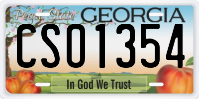 GA license plate CSO1354