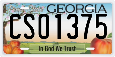 GA license plate CSO1375
