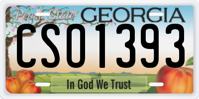 GA license plate CSO1393