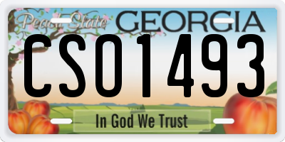 GA license plate CSO1493
