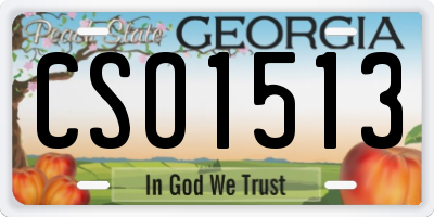 GA license plate CSO1513