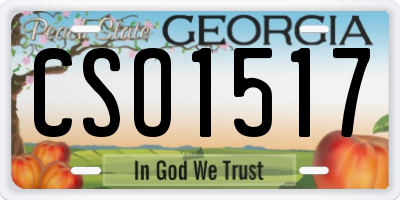 GA license plate CSO1517