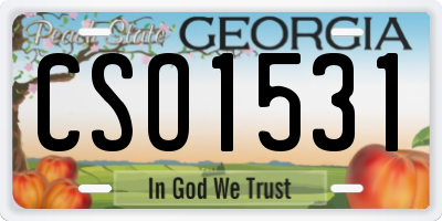 GA license plate CSO1531