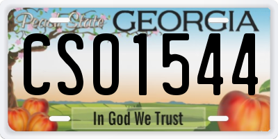 GA license plate CSO1544
