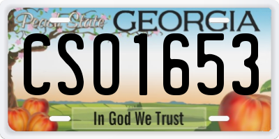 GA license plate CSO1653