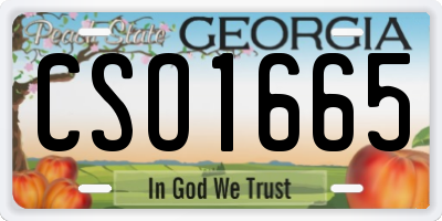 GA license plate CSO1665
