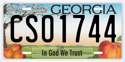 GA license plate CSO1744