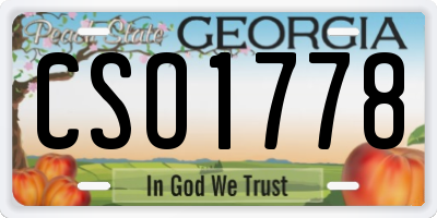 GA license plate CSO1778