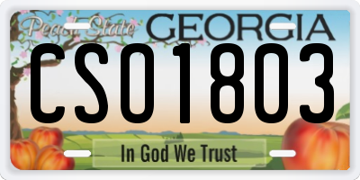 GA license plate CSO1803