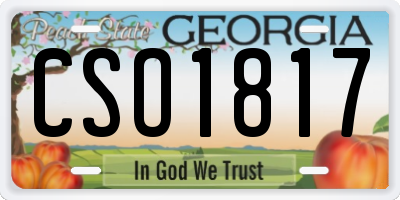 GA license plate CSO1817