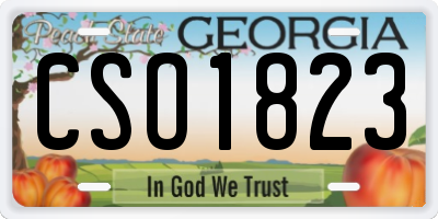 GA license plate CSO1823