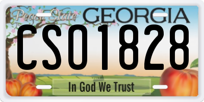 GA license plate CSO1828