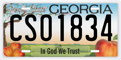 GA license plate CSO1834