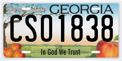 GA license plate CSO1838
