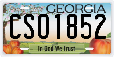GA license plate CSO1852