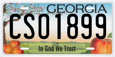 GA license plate CSO1899