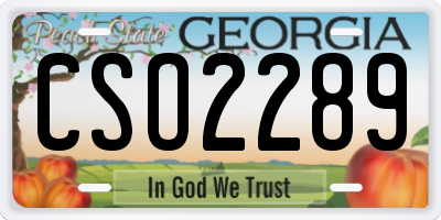 GA license plate CSO2289