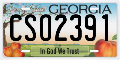 GA license plate CSO2391