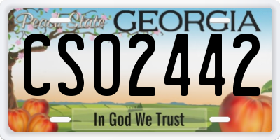 GA license plate CSO2442