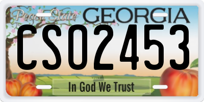 GA license plate CSO2453