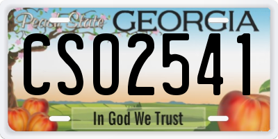 GA license plate CSO2541