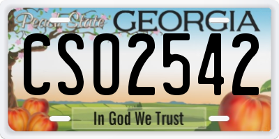 GA license plate CSO2542