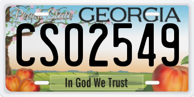 GA license plate CSO2549