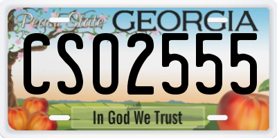 GA license plate CSO2555