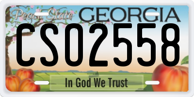 GA license plate CSO2558
