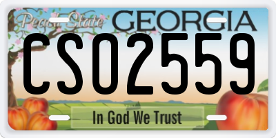 GA license plate CSO2559