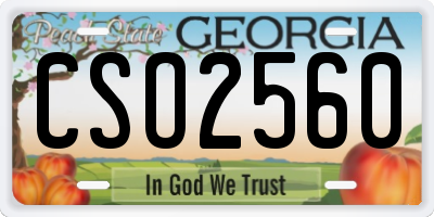 GA license plate CSO2560