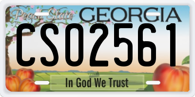 GA license plate CSO2561
