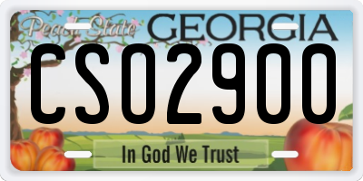 GA license plate CSO2900