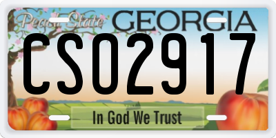 GA license plate CSO2917