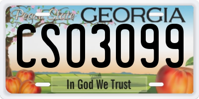 GA license plate CSO3099