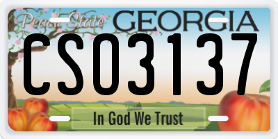 GA license plate CSO3137