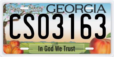 GA license plate CSO3163