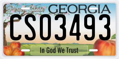 GA license plate CSO3493