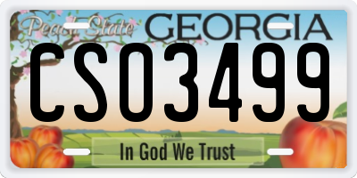 GA license plate CSO3499