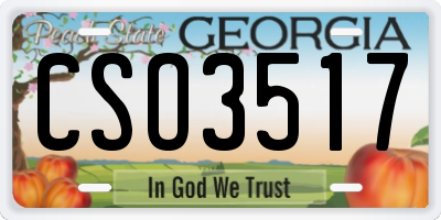 GA license plate CSO3517