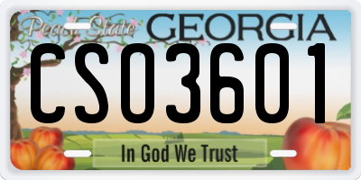 GA license plate CSO3601