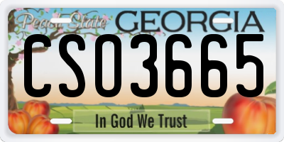 GA license plate CSO3665